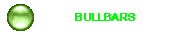 BULLBARS